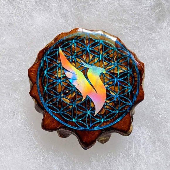 Pineal pinecone - Picture 10 of 13